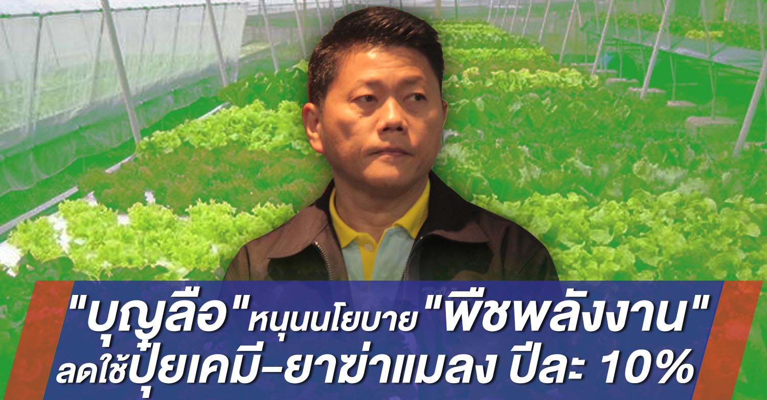 “รองหัวหน้าพรรค ภท.” เผย แนวคิดพัฒนาภาคตะวันตก ดันปลูก “ผักออร์แกนิก” ส่งออกทั่วโลก