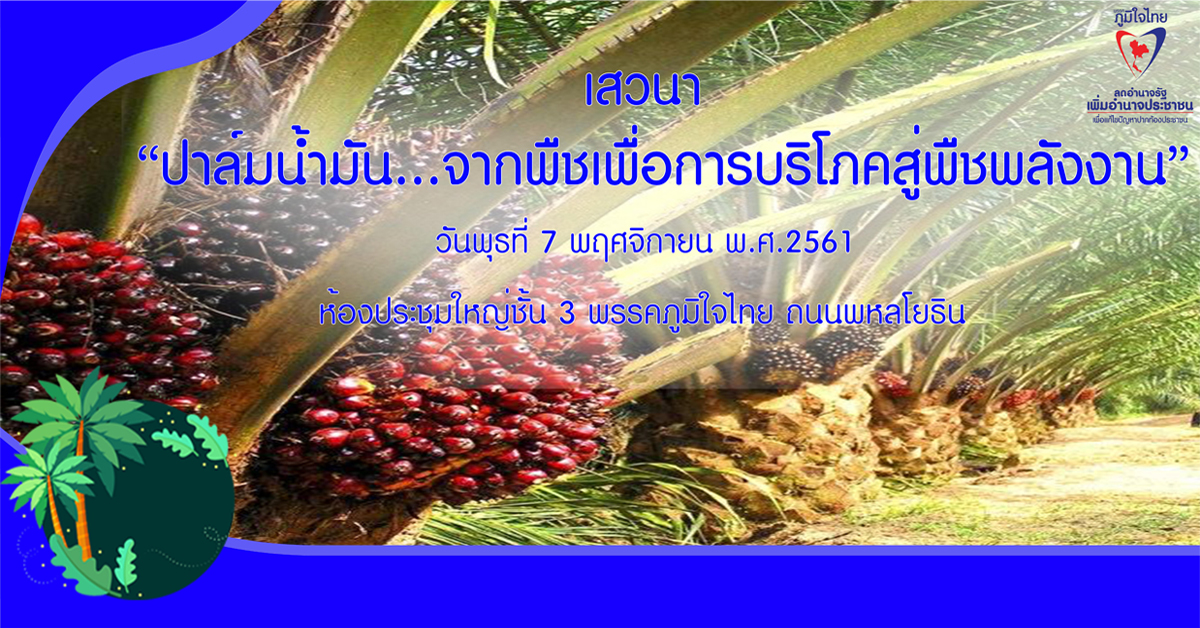 ภูมิใจไทย ระดมสมองแก้ปัญหาปาล์มตกต่ำ ทุกฝ่ายร่วมคิด