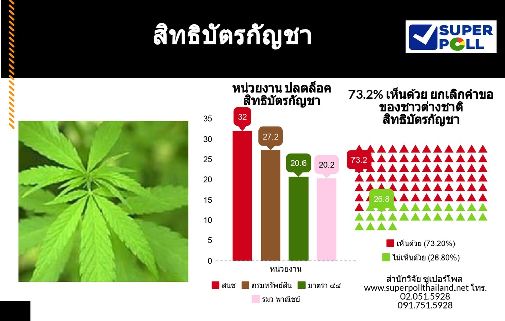 SUPER POLL ชี้ ปชช. ชูธงหนุน รัฐทวง สิทธิบัตร "กัญชา" จากต่างชาติ