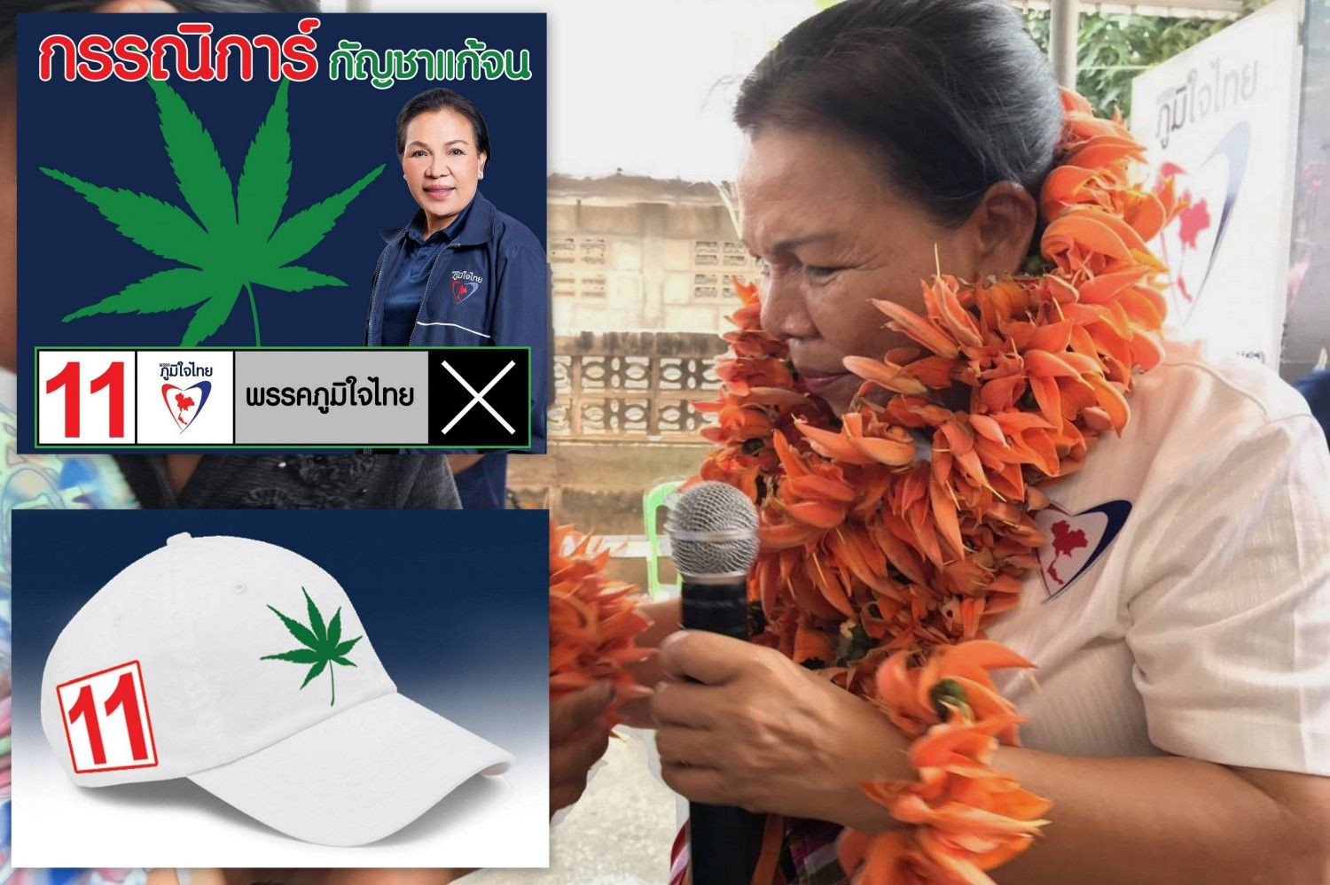 "กรรณิการ์ สืบสารคาม"  งัดสัญลักษณ์กัญชาโชว์บนป้าย-หมวกหาเสียง 