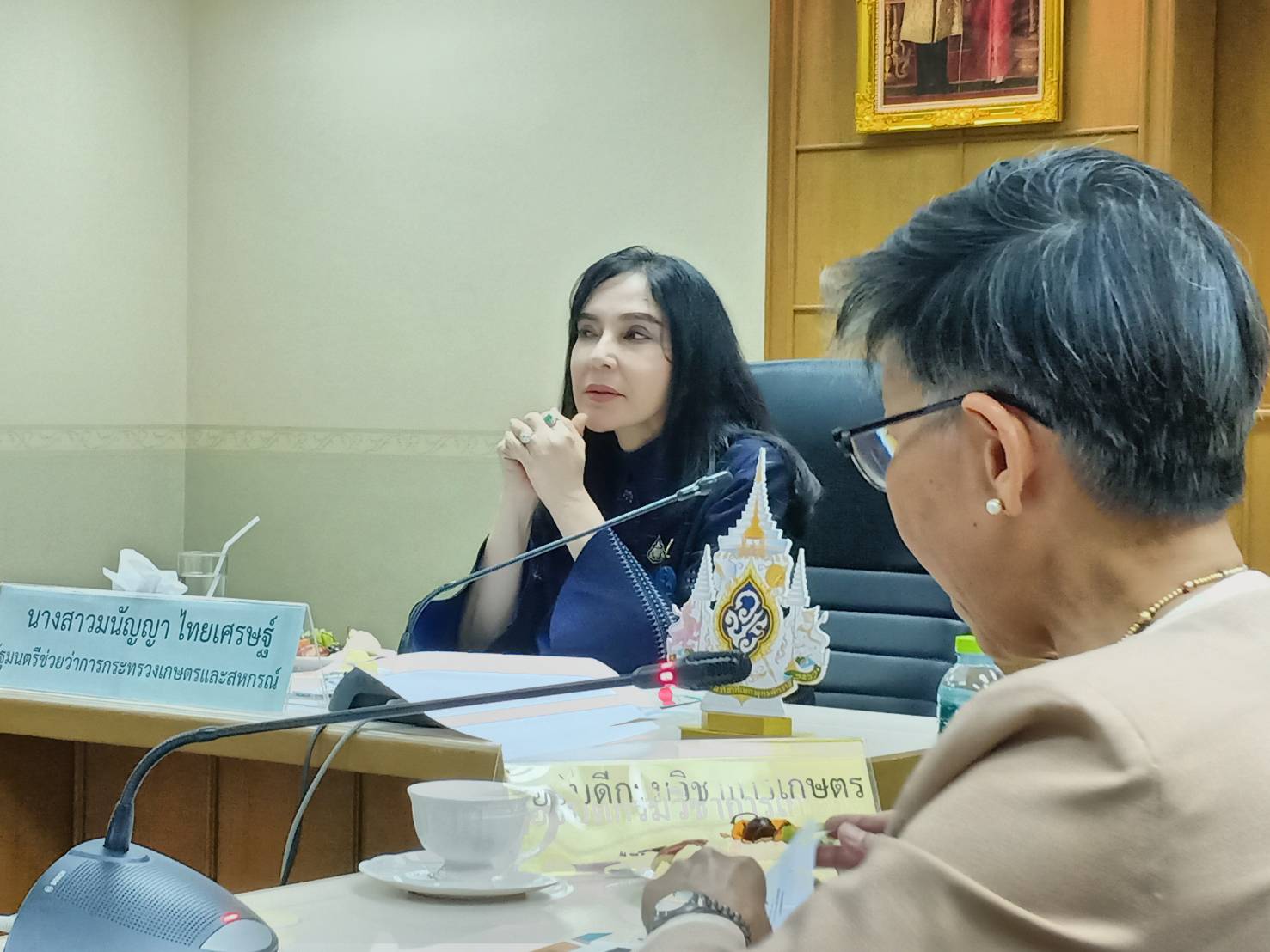 มนัญญา สั่งเฉียบ กรมวิชาการเกษตร ระงับทุกพ.ร.บ.เกี่ยวกับสารพิษ ยันแบน 3 สารพิษ สิ้นปี62 เตรียมเข้าตรวจสต๊อค