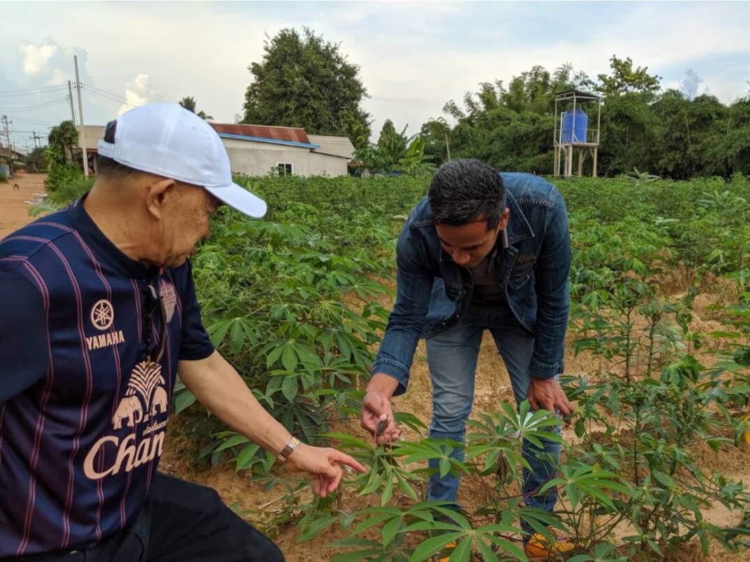 "วีรศักดิ์" รมช.พาณิชย์ ห่วงชาวโคราช แนะ การสั่งซื้อท่อนพันธุ์ควรตรวจสอบให้ดี