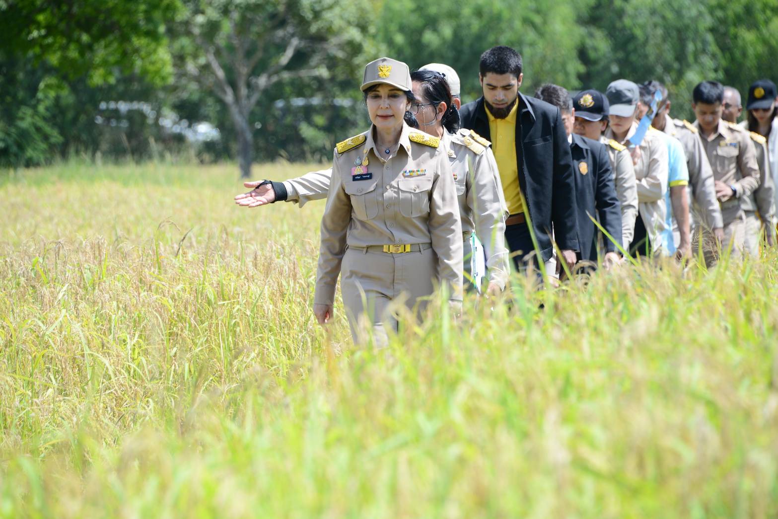 "มนัญญา" ติดตามสถานการณ์การระบาดของโรคไหม้คอรวงข้าว พร้อมเตรียมมาตรการช่วยเหลือในพื้นที่จังหวัดสุรินทร์