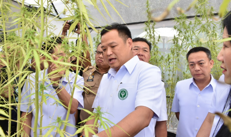 "อนุทิน" โชว์ความคืบหน้า 3 เดือน นโยบายกัญชา ย้ำพอใจ หลาย รพ.ใช้รักษาโรค ยัน ไม่ทิ้งนโยบาย 6 ต้น เผย กฎหมายถึงสภาแล้ว ลั่น ภูมิใจไทย พร้อมผลักดันสุดกำลัง