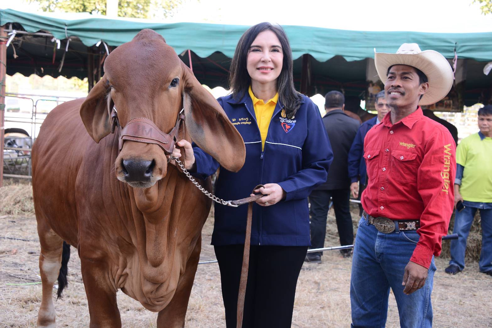 "มนัญญา" เปิดงาน "เกษตรยั่งยืน ค่ำคืนคาวบอยไนท์" มุ่งส่งเสริมให้มีการทำเกษตรกรรมแบบยั่งยืน และให้เกษตรมีคุณภาพชีวิตที่ดีขึ้น