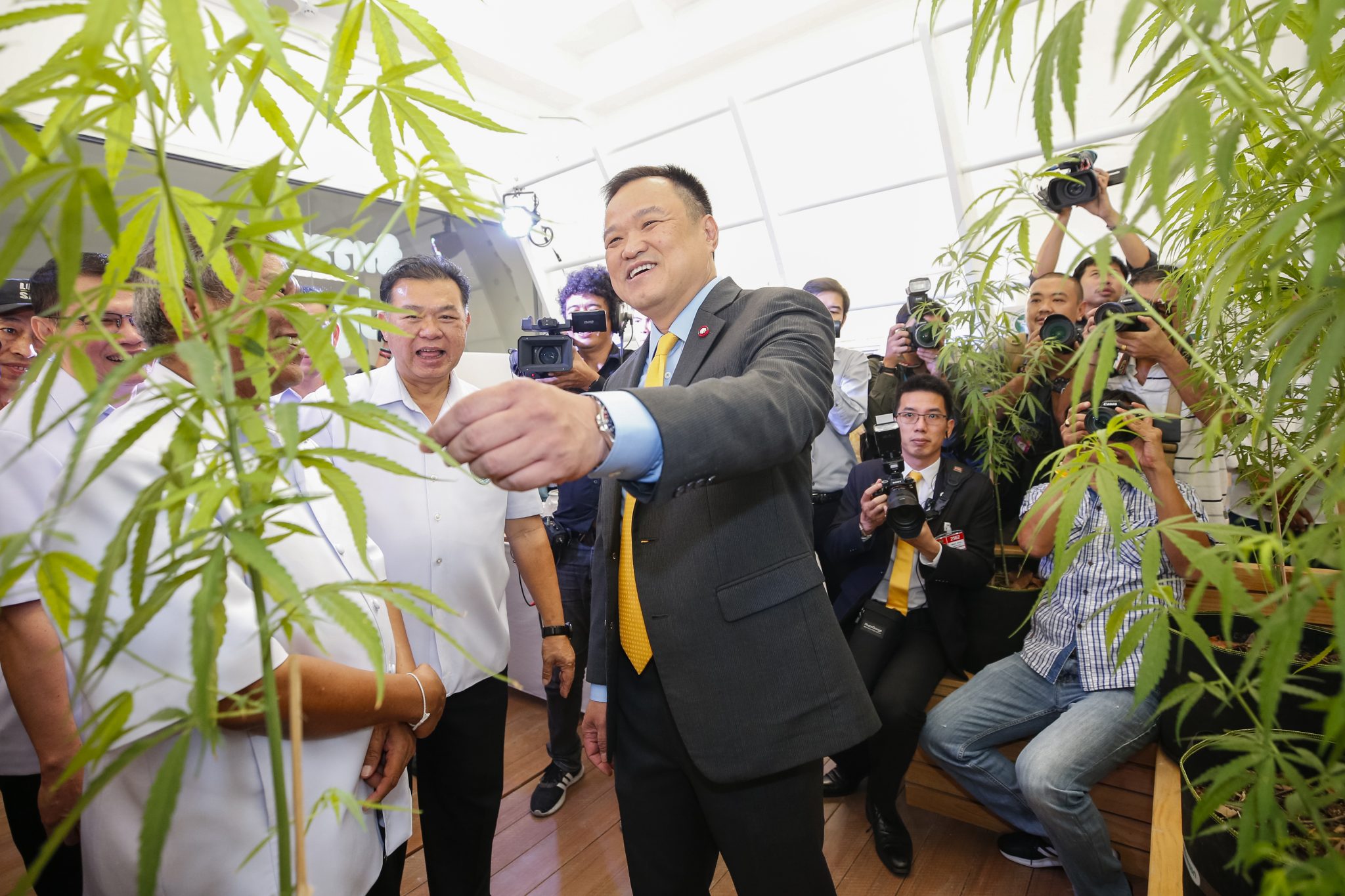 "อนุทิน" เปิดคลินิคกัญชาแผนไทย สธ. ตั้งเป้าปี 63 ต้องให้บริการผู้ป่วยทั่วประเทศ ด้านประชาชนตอบรับดี หลายร้อยแห่ใช้บริการ