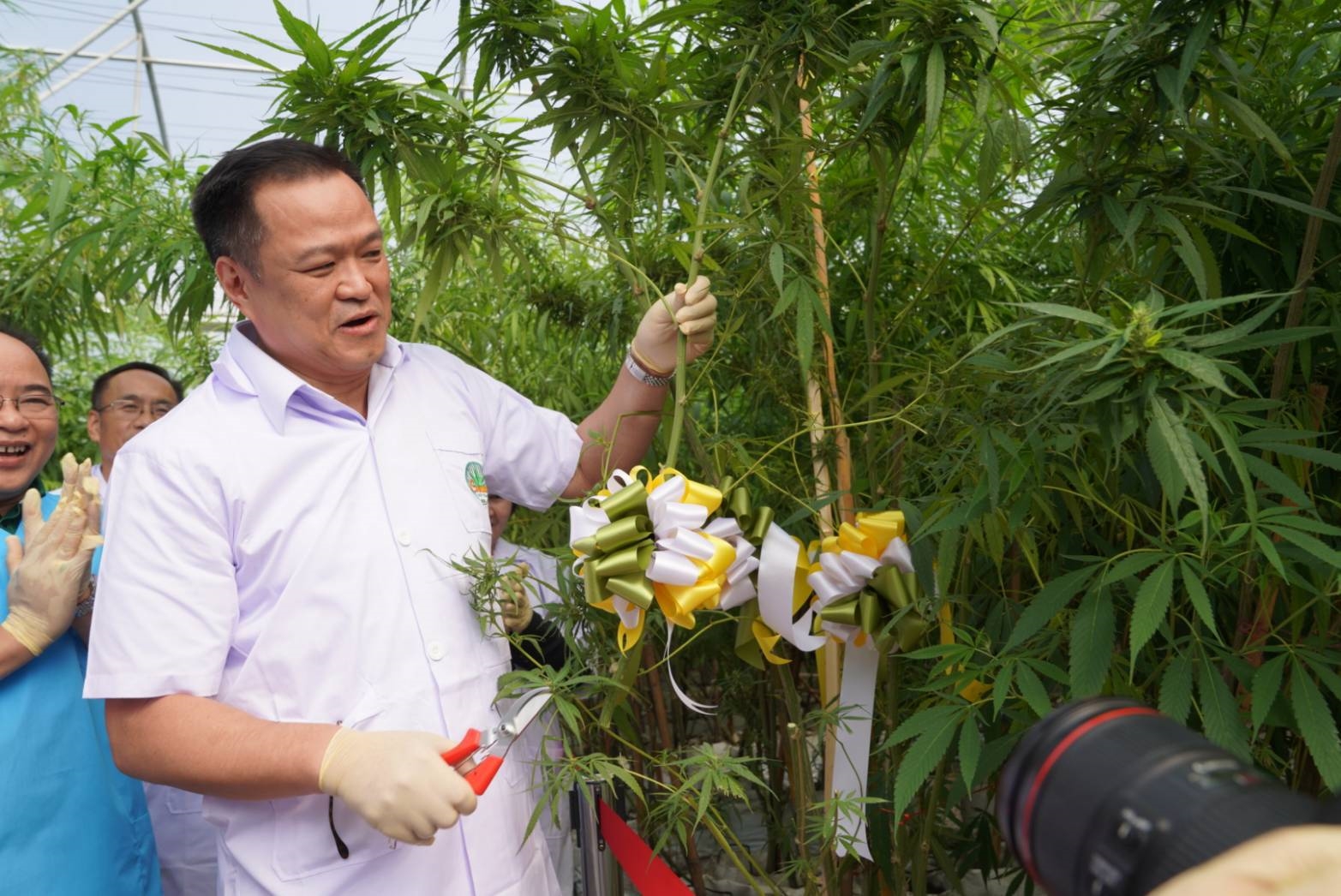 "อนุทิน" เยี่ยม ม.แม่โจ้ เก็บกัญชาไทยดอกแรกระบบอุตสาหกรรม ก่อนเดินหน้าปลูก "นอกโรงเรือน"