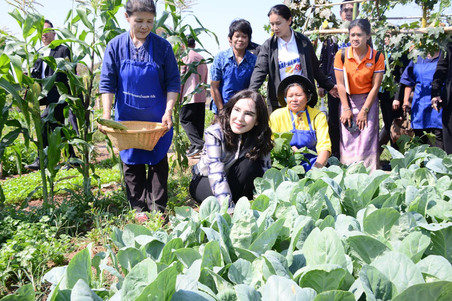 "รมช.มนัญญา" ลงสู่แปลง สู้ภัยแล้ง หนุนพืชใช้น้ำน้อยผลักดันเกษตรปลอดภัย กลุ่มสหกรณ์การเกษตรบ้านแฮด ขอนแก่น