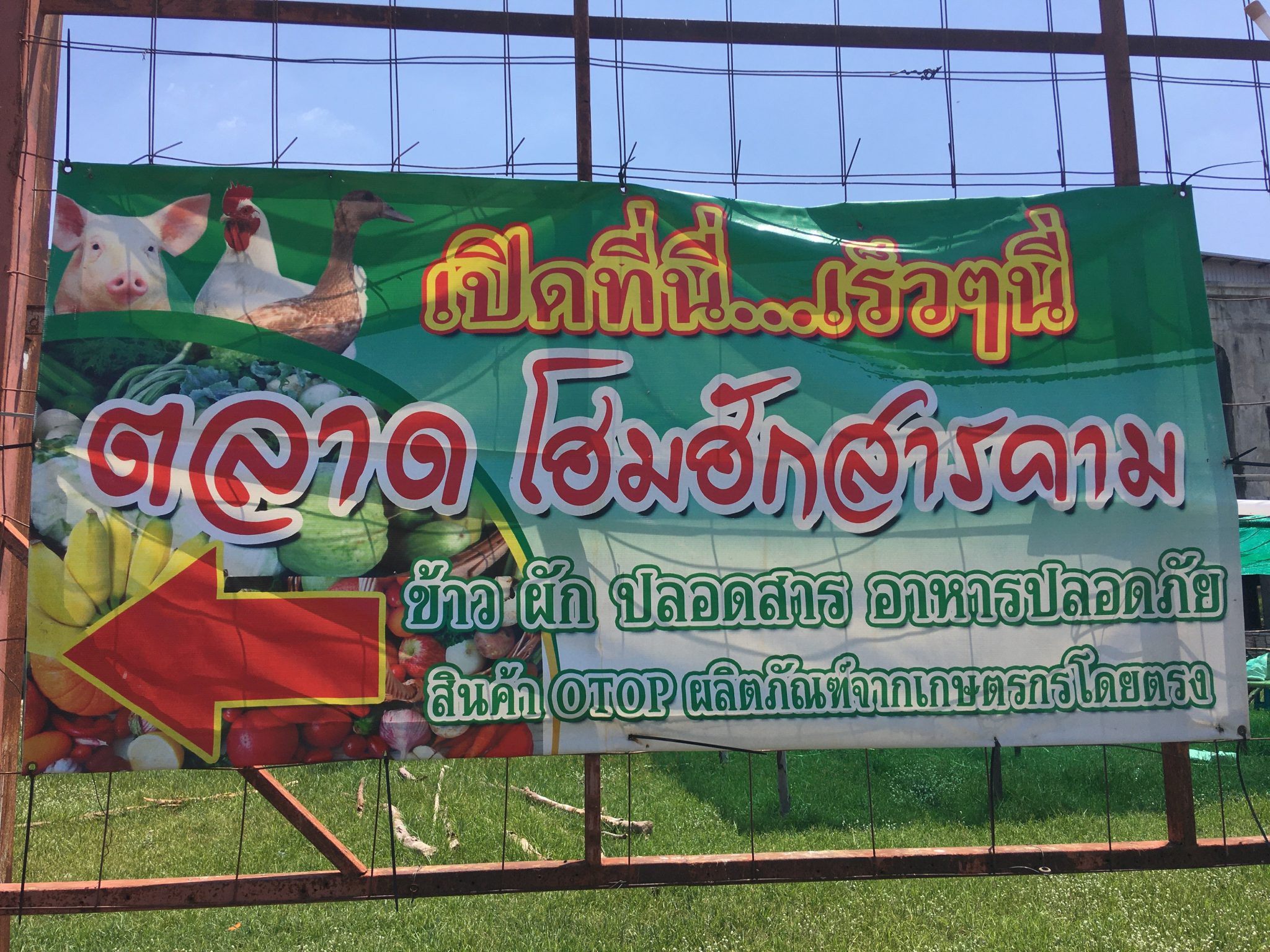 “สำลี” ส.ส.บัญชีรายชื่อ ภท. เตรียมพลิกฟื้น  “ตลาดโฮมฮักสารคาม” เปิดให้เกษตรกรเข้ามาสินค้าได้ฟรี ! ภายหลังปลดล็อคดาวน์