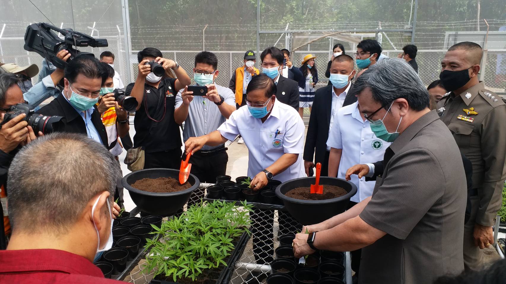 เริ่มแล้ว ! ปลูกกัญชา ! นพ.สำเริง แหยงกระโทก ร่วมปลูกกัญชา ที่มหาวิทยาลัยเทคโนโลยีสุรนารี ย้ำ ! ทำในบรรยากาศที่สอดคล้องกับข้อกำหนดการควบคุมการระบาดของโรคโควิด-19