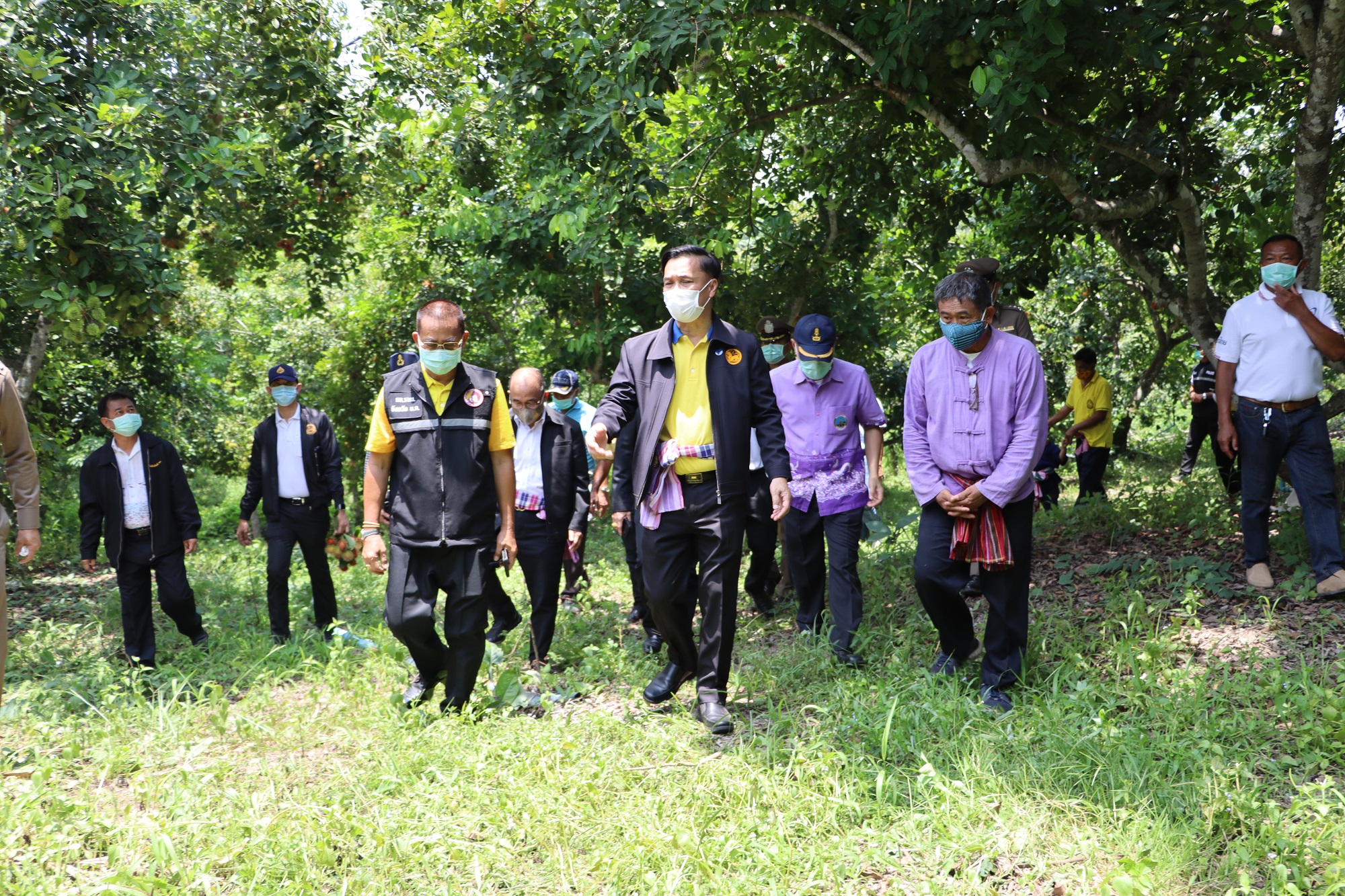 มท.3 ตรวจติดตามผลการดำเนินงาน ตรวจติดตามการส่งเสริมอาชีพการปลูกไม้ผล เงาะและทุเรียน