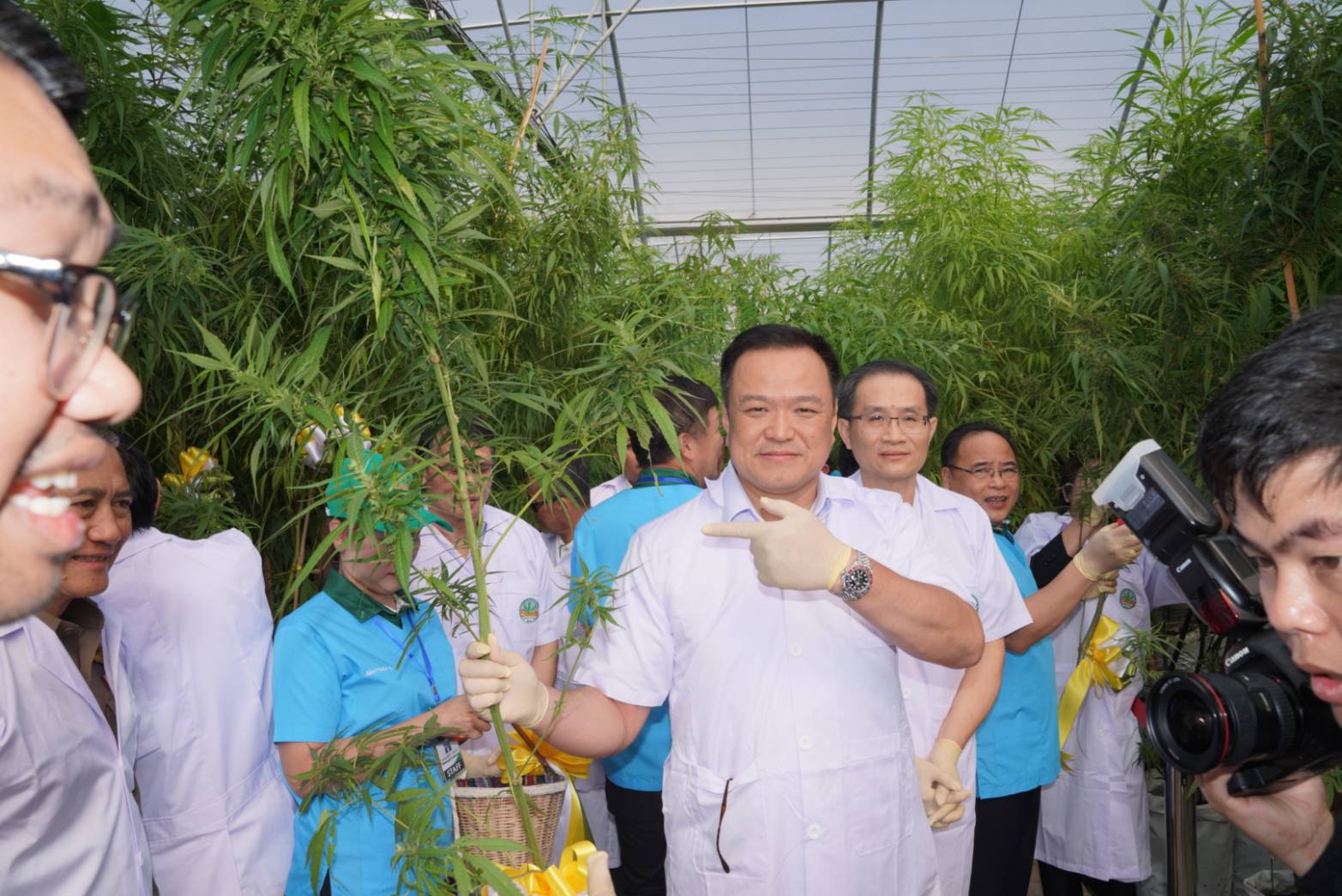 ‘อนุทิน’ เดินหน้าแก้พรบ.ยาเสพติด ปลดล็อกผู้ป่วย-เกษตรกรปลูกกัญชา