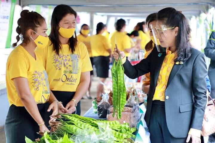 รมช.กนกวรรณ ชื่นชม "กศน.จังหวัดตรัง" จัดการเรียนออนไลน์ฝ่าโควิดดีเด่น ผลิตภัณฑ์ ONIE สอดคล้องอัตลักษณ์ ทันสมัย สร้างรายได้สู่ชุมชน
