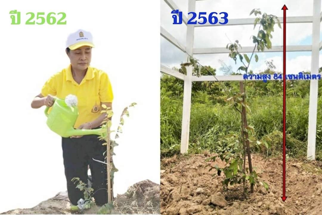 365 วันกับทุกย่างก้าวของการทำงานแบบอินฟินิตี้ เพื่อฝั่งรากแก้วการศึกษาตลอดชีวิตแก่คนทุกช่วงวัย