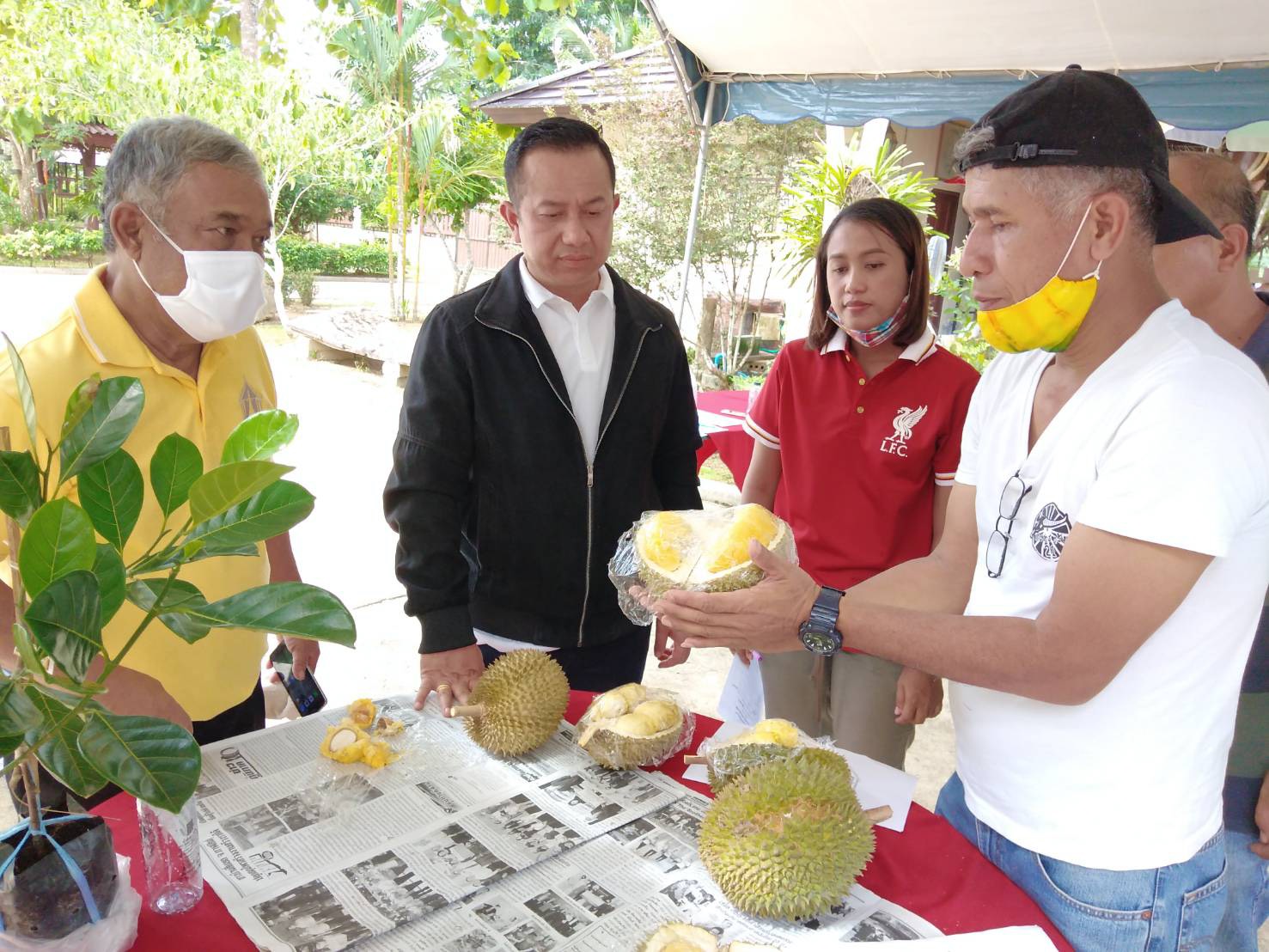 "ส.ส.ณัฏฐ์ชนน" ร่วมกิจกรรมอบรมสัมมนา ให้ความรู้แก่เกษตรกรผู้ปลูกทุเรียน เชิงธุรกิจแบบครบวงจร  ชู...ความพร้อม เตรียมจัดเทศกาลทุเรียน รวม 4 เขต จ.สงขลา ปีหน้าแน่นอน !