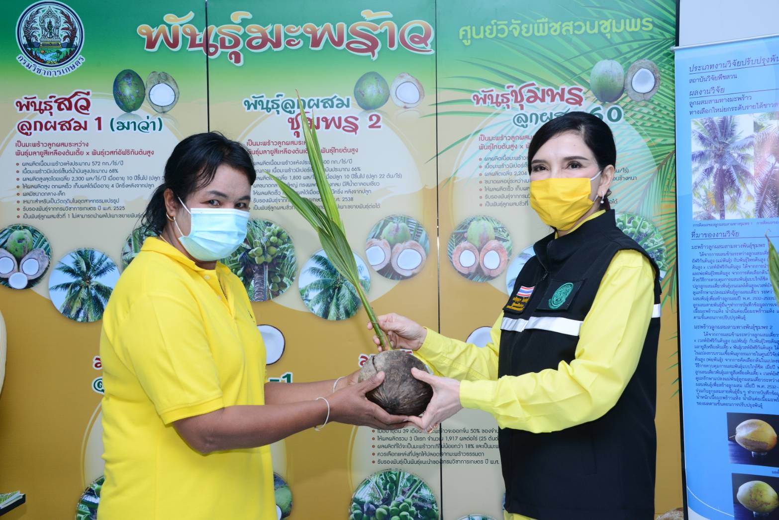 รมช.มนัญญา มอบพันธุ์มะพร้าวหนุน เกษตรกรปลูกมะพร้าว ให้เพียงพอความต้องการของตลาด