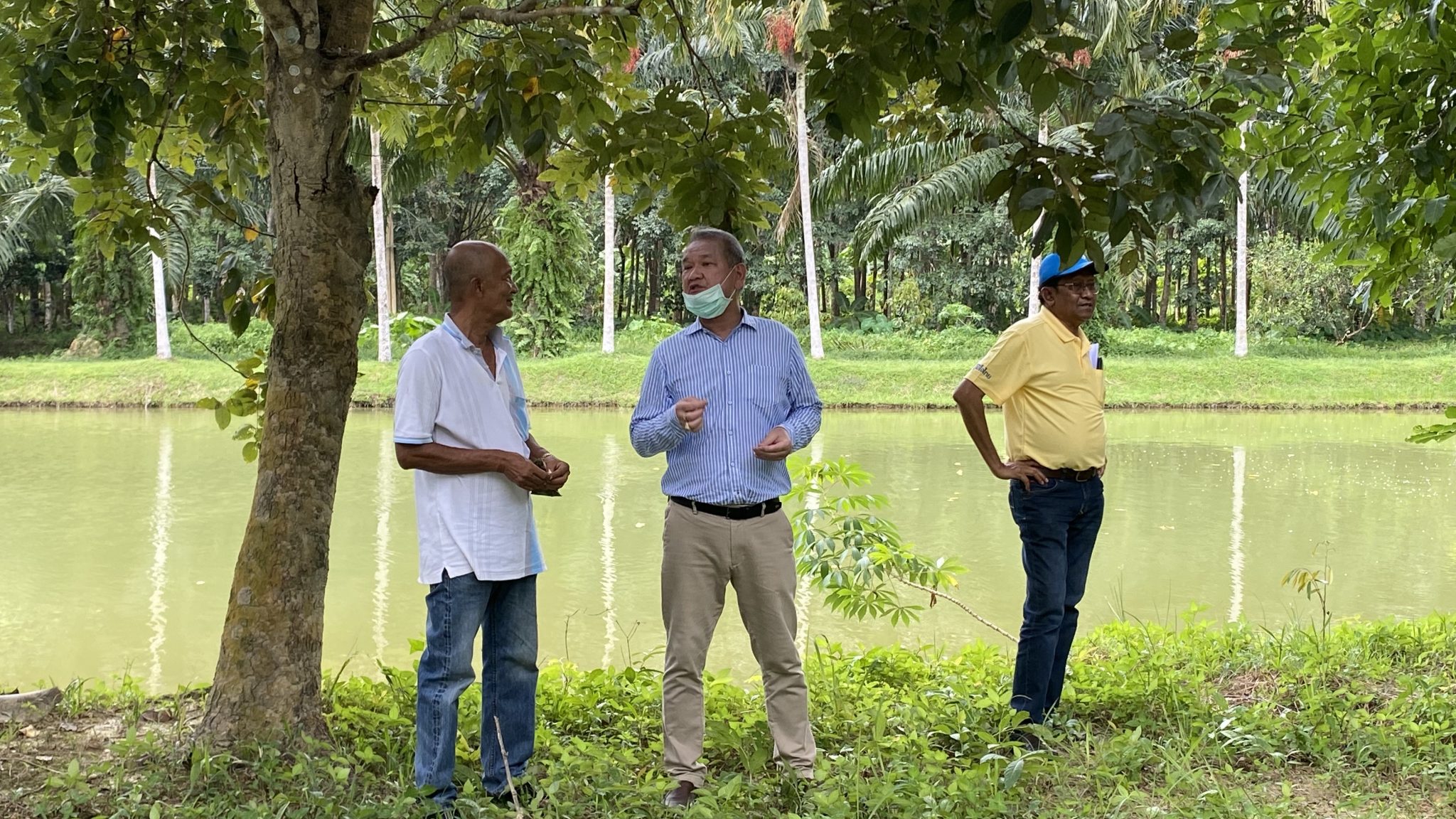 ‘ส.ส.พิบูลย์’ ลงพื้นที่ดูสถานที่ปลูกกัญชาทางการแพทย์ ณ บ้านโตน ต.ทุ่งนุ้ยอ.ควนกาหลง จ.สตูล