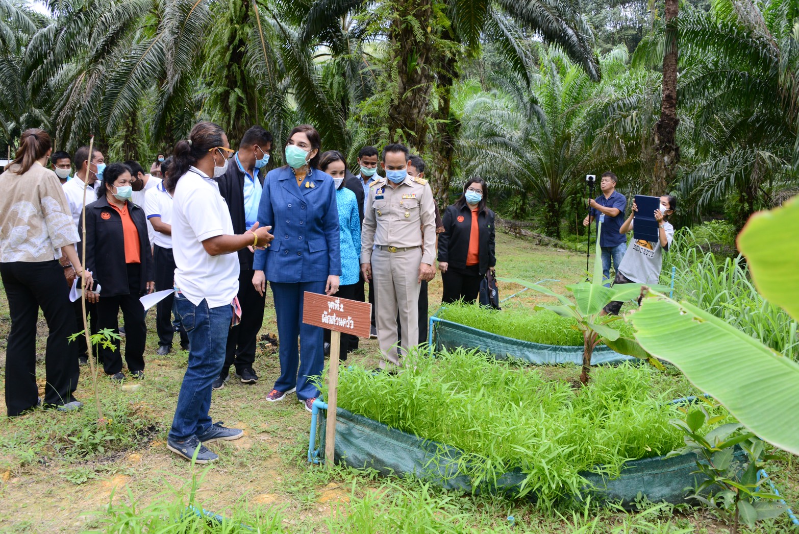 "มนัญญา ไทยเศรษฐ์" รมช.เกษตรและสหกรณ์ ติดตามความก้าวหน้าโครงการนำลูกหลานเกษตรกรกลับบ้าน จ.พังงา