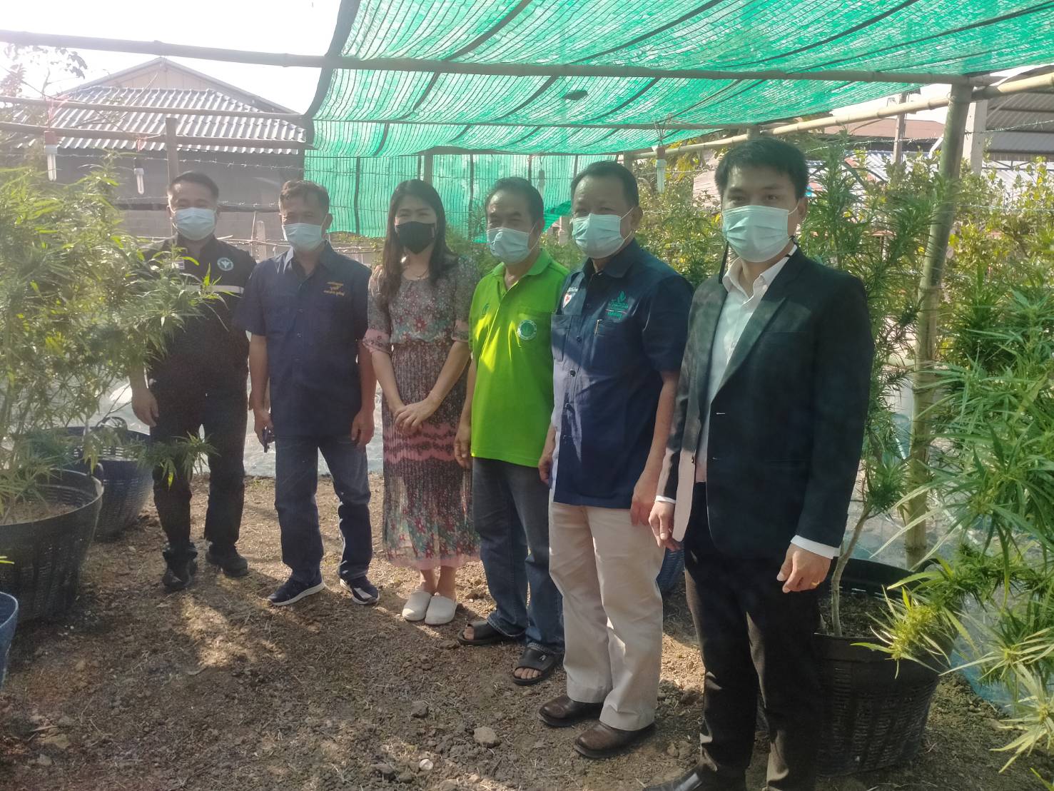 "ส.ส.สมบูรณ์ ซารัมย์ " ลงพื้นที่เยี่ยมชมสถานที่ปลูกสมุนไพรทางเลือกเพื่อการแพทย์ บ้านโศกนาค