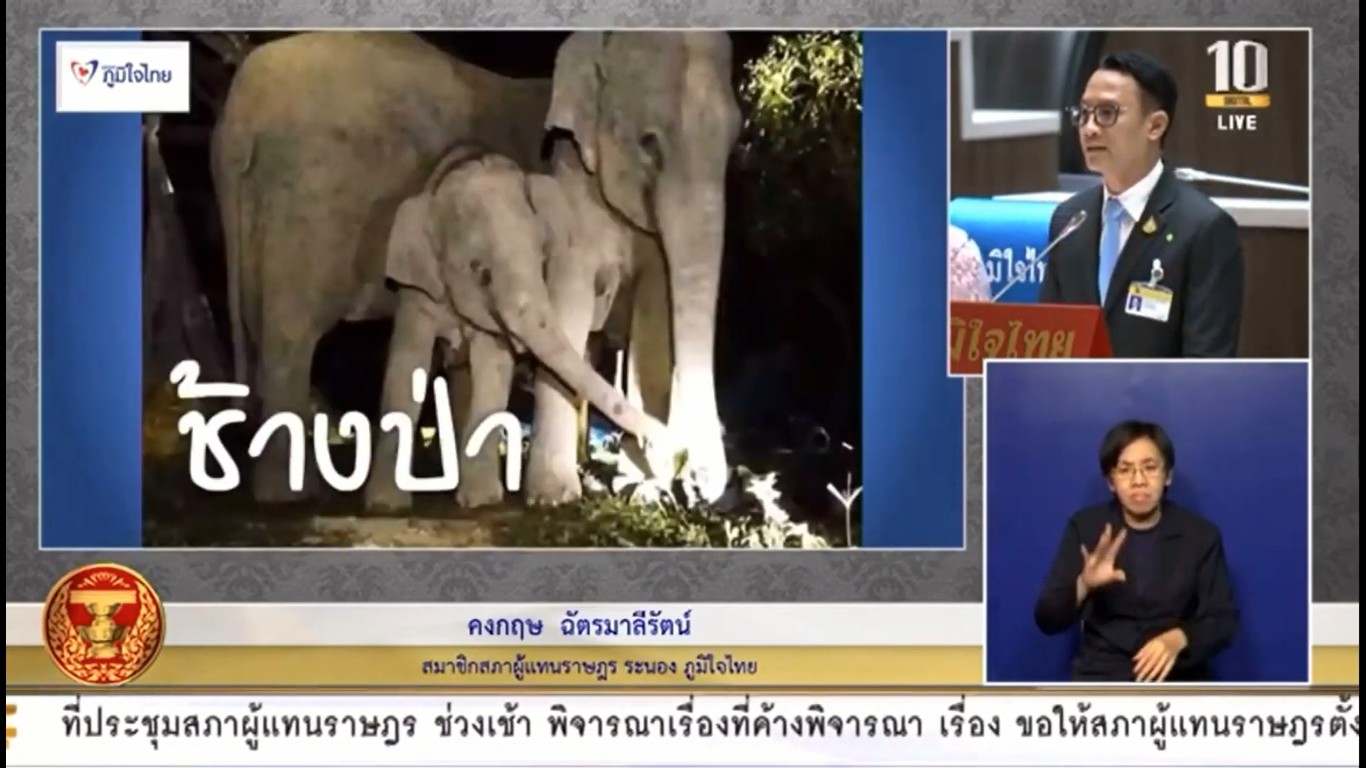 ส.ส.คงกฤษ ฉัตรมาลีรัตน์ สนับสนุน ให้มีการตั้งกรรมาธิการวิสามัญพิจารณาทางออกแก้ไขปัญหาช้างป่าบุกรุกทำลายพืชผลทางการเกษตร และเยียวยาในส่วนของผลกระทบอย่างยั่งยืน