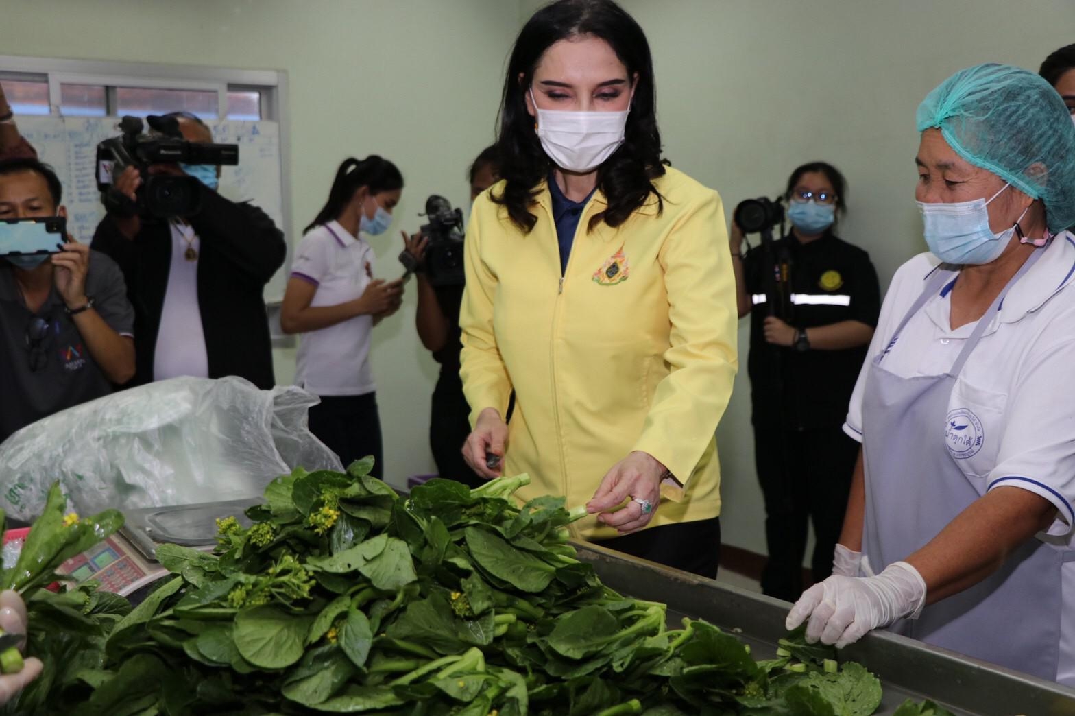 รมช.มนัญญา ไทยเศรษฐ์ ลงพื้นที่พบปะเกษตรกร และติดตามการดำเนินงานของสหกรณ์ ที่ อ.หล่มสัก-อ.เขาค้อ จ.เพชรบูรณ์