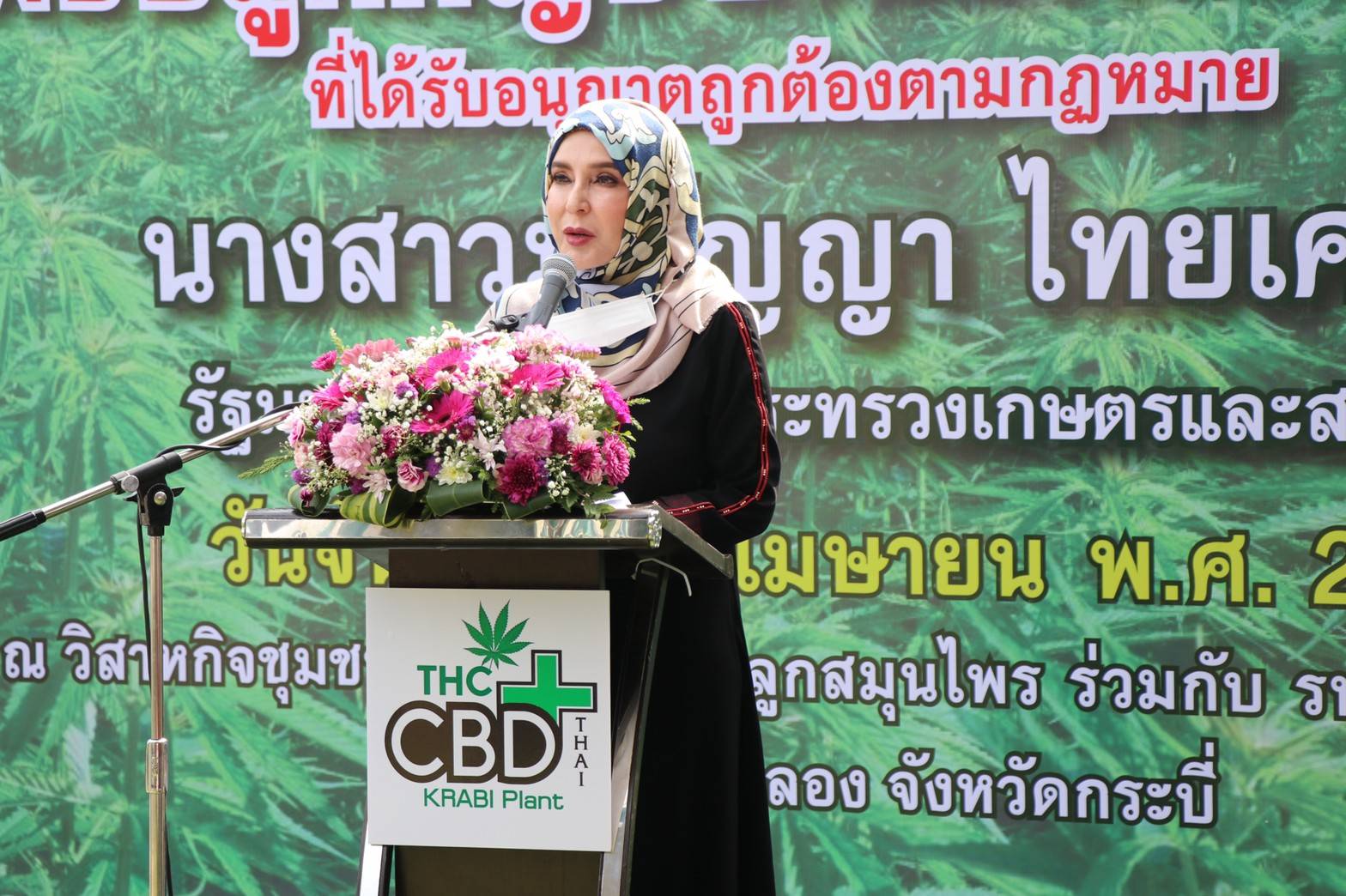 “รมช.มนัญญา” เร่งขยายพื้นที่การปลูกกัญชาต้นแรกของจังหวัดกระบี่