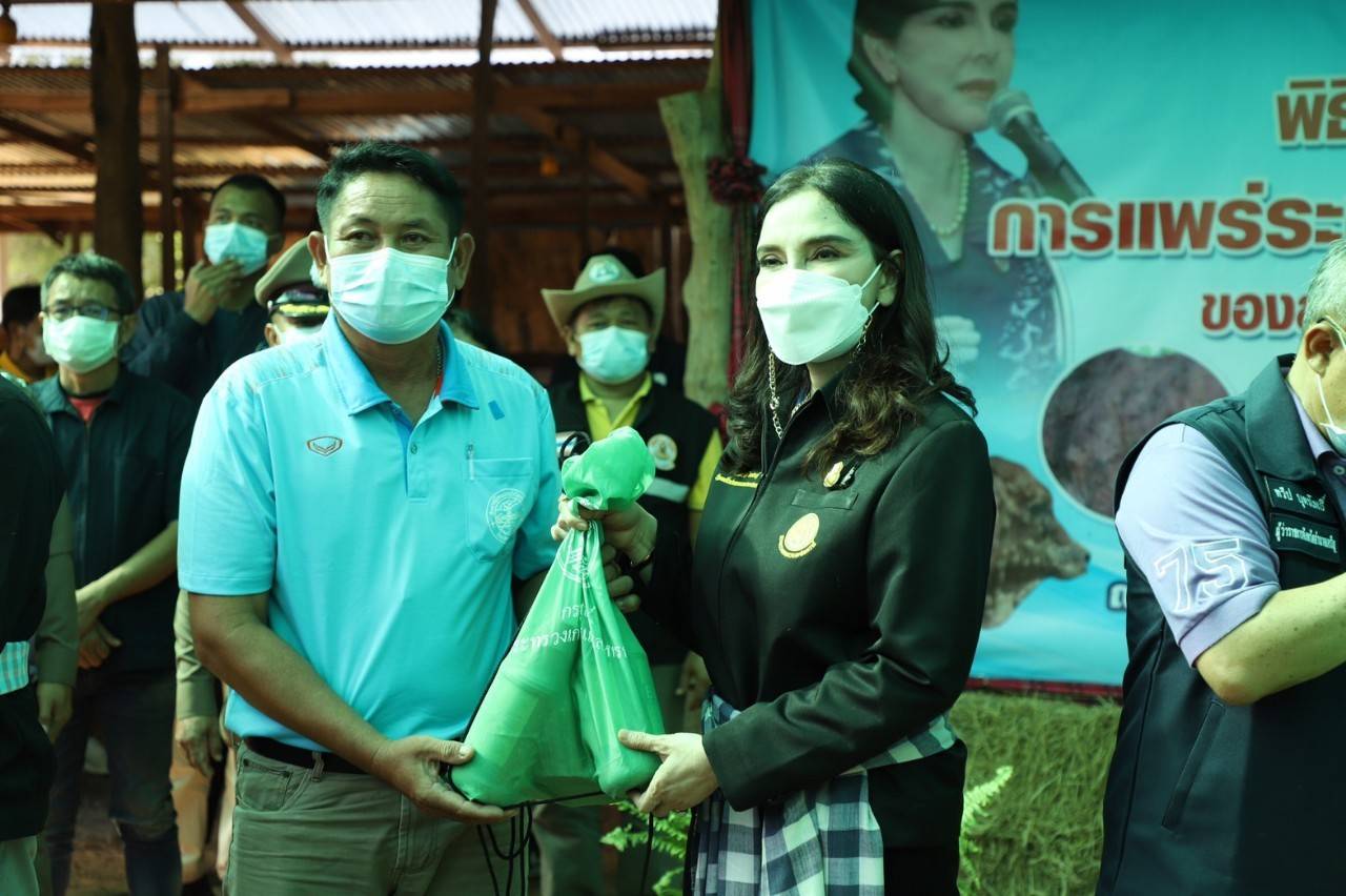 “รมช.มนัญญา” ลงพื้นที่เยี่ยมชมเกษตรกร พร้อมพร้อมมอบเวชภัณฑ์ให้แก่เกษตรกร ตลอดจนออกมาตรการเข้มงวด พร้อมกำชับหน่วยงานที่เกี่ยวข้องเร่งแก้ไขปัญหาการควบคุมโรคอย่างเร่งด่วน และปล่อยขบวบรถพ่นยาฆ่าเชื้อ