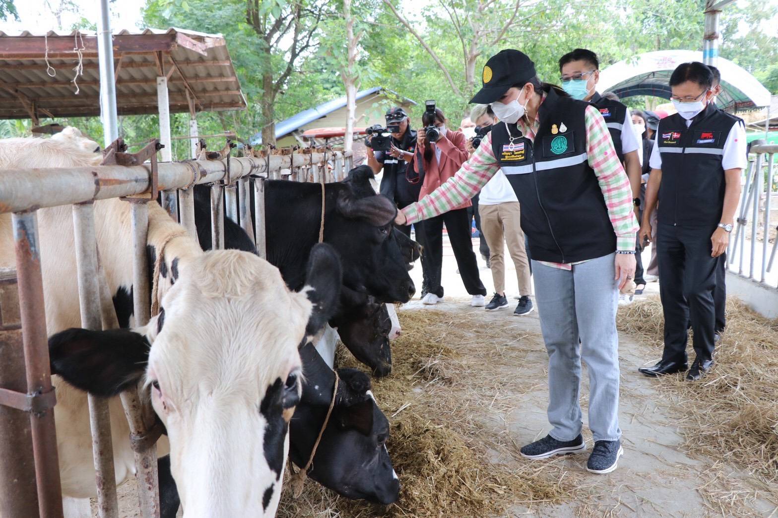 “รมช.มนัญญา” กำชับ อ.ส.ค. และสหกรณ์ผู้เลี้ยงโคนมเฝ้าระวังการแพร่ระบาด “โรคลัมปี สกิน” ไม่ให้กระทบอุตสาหกรรมโคนมประเทศ นำทีมผู้บริหารฉีดพ่นยาฆ่าแมลง ณ ฟาร์มโคนมประสิทธิภาพสูง อ.ส.ค. จ.สระบุรี