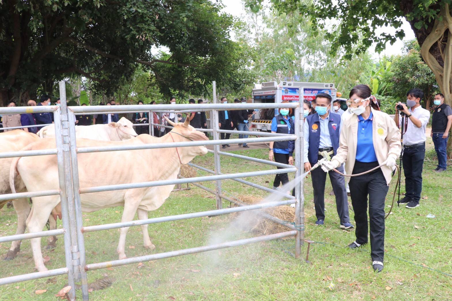 "รมช.มนัญญา" ลงพื้นที่ ตรวจเยี่ยมเกษตรกร และให้ความช่วยเหลือแก้ไขปัญหา ให้กับเกษตรกรที่ได้รับผลกระทบจากการแพร่ระบาดโรคลัมปี สกิน (Lumpy Skin) ในโค-กระบือ ของเกษตรกร อ.นาแก จ.นครพนม