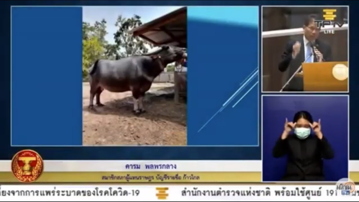 "คารม พลพรกลาง" บี้ !! สำนักงบฯ-สภาพัฒน์ ขอให้เห็นชีวิตประชาชนเป็นสำคัญ ด้านสาธารณสุข คือความมั่นคงของประเทศในขณะนี้ ไม่ควรตัดงบฯ