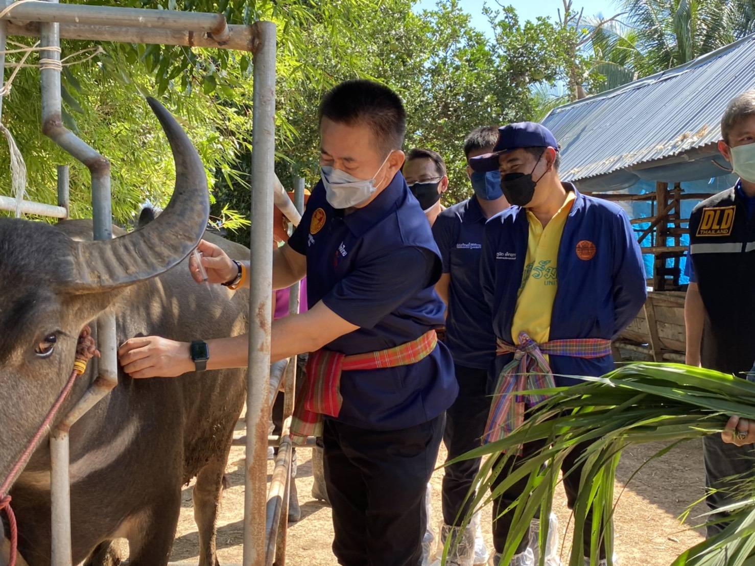 "ส.ส.อดิพงษ์" ลงพื้นที่นำเวชภัณฑ์ วัคซีนป้องโรคลัมปี สกิน มอบให้ชาว ต.สำโรง และนำเครื่องอุปโภค-บริโภค มอบให้ผู้ที่ได้รับการกักตัวในศูนย์ที่ อ.พลับพลาชัย-อ.กระสัง-อ.ห้วยราช จ.บุรีรัมย์