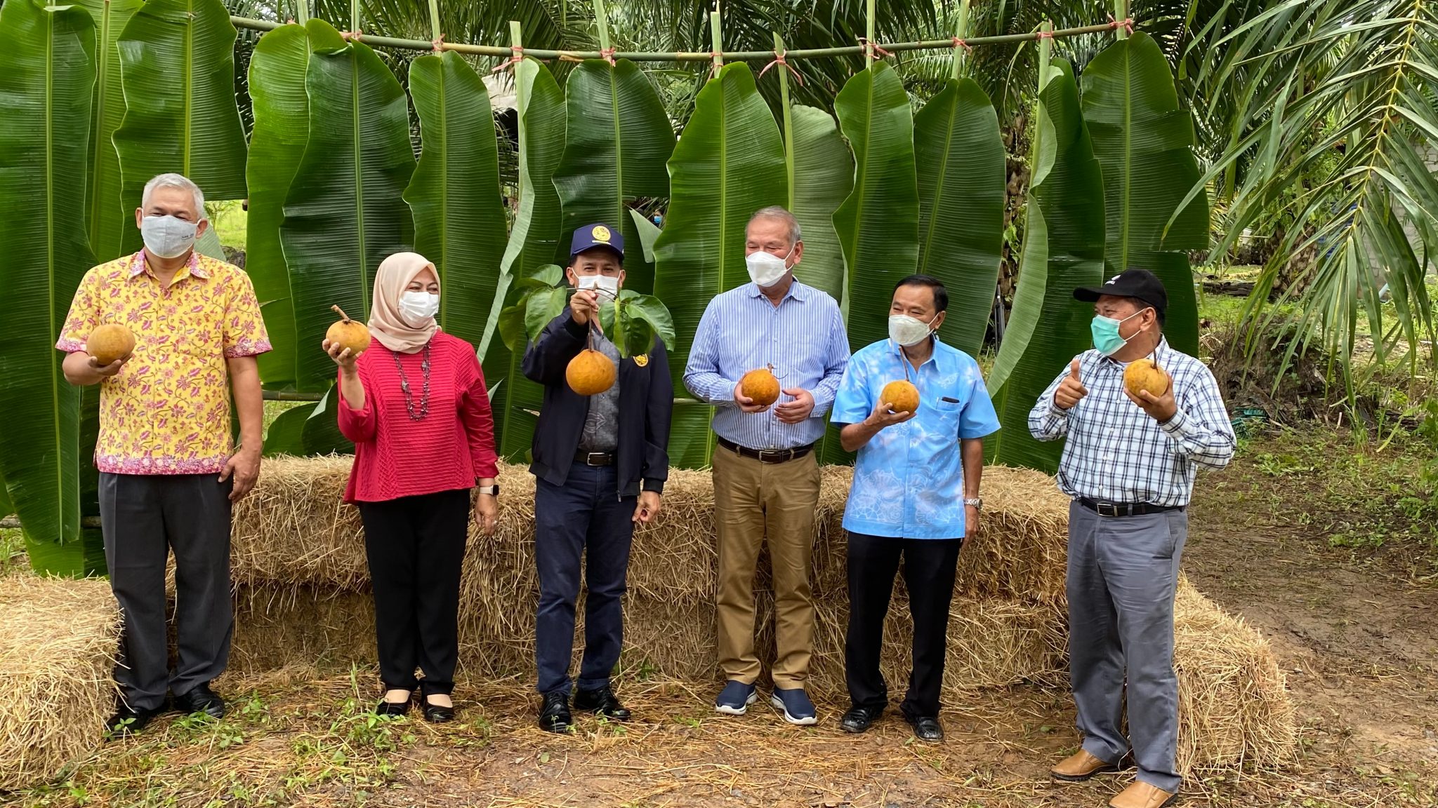 ส.ส.พิบูลย์ รัชกิจประการ ร่วมกิจกรรมงานกระท้อนออนไลน์ “ สโตยสตูล ปี 2 “ และเสวนาการปลูกกระท้อน บริหารจัดการผลผลิตกระท้อนในช่วงการแพร่ระบาดของโควิด-19 นอกจากนี้ ลงพื้นที่ได้มอบถุงยังชีพผู้ที่ได้รับความเสียหายจากอัคคีภัย ต.เกตรี อ.เมือง จ.สตูล