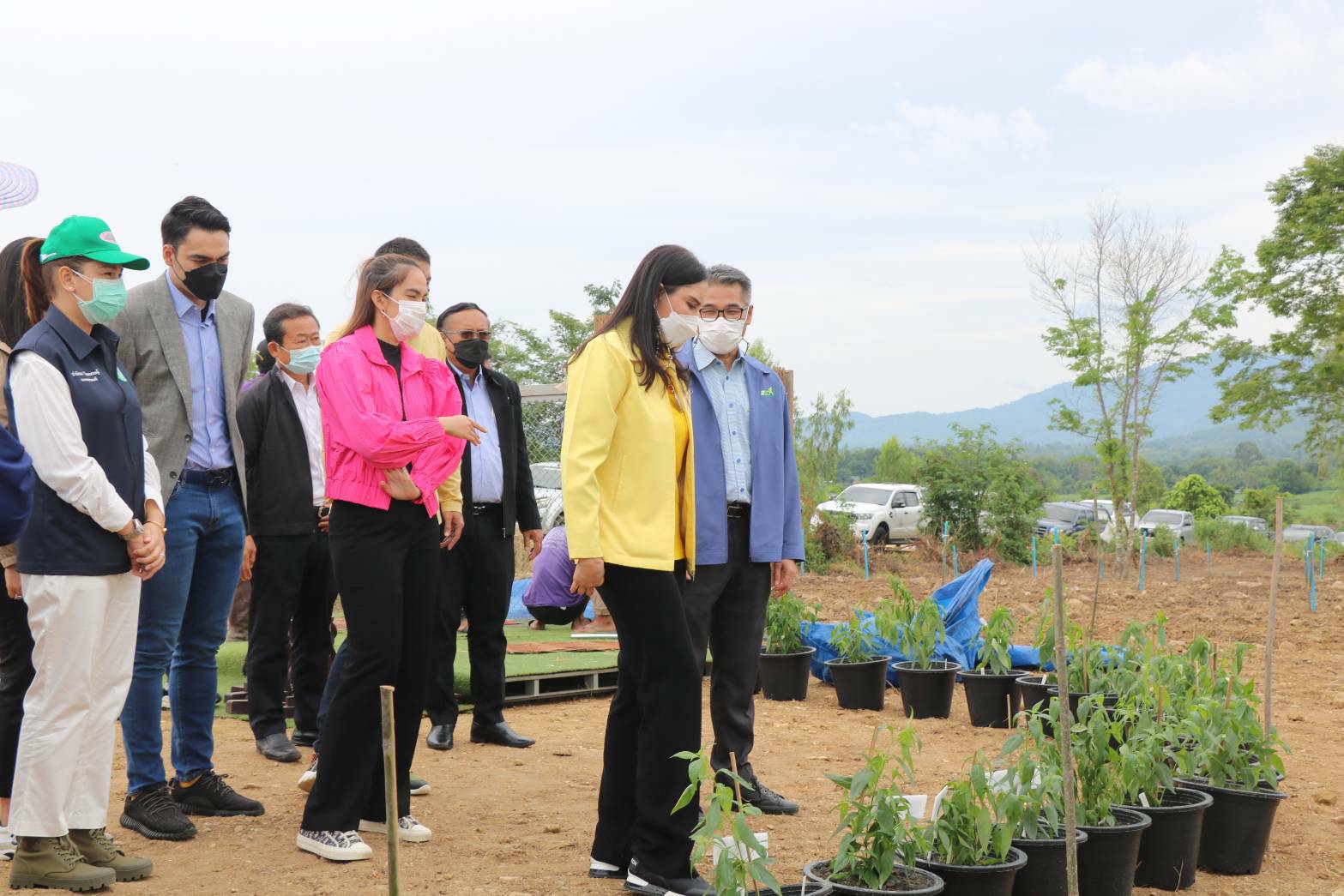 รมช.มนัญญา ส่งเสริมอาชีพปลูกฟ้าทะลายโจรสู้ภัยโควิด-19 จ.อุทัยธานี