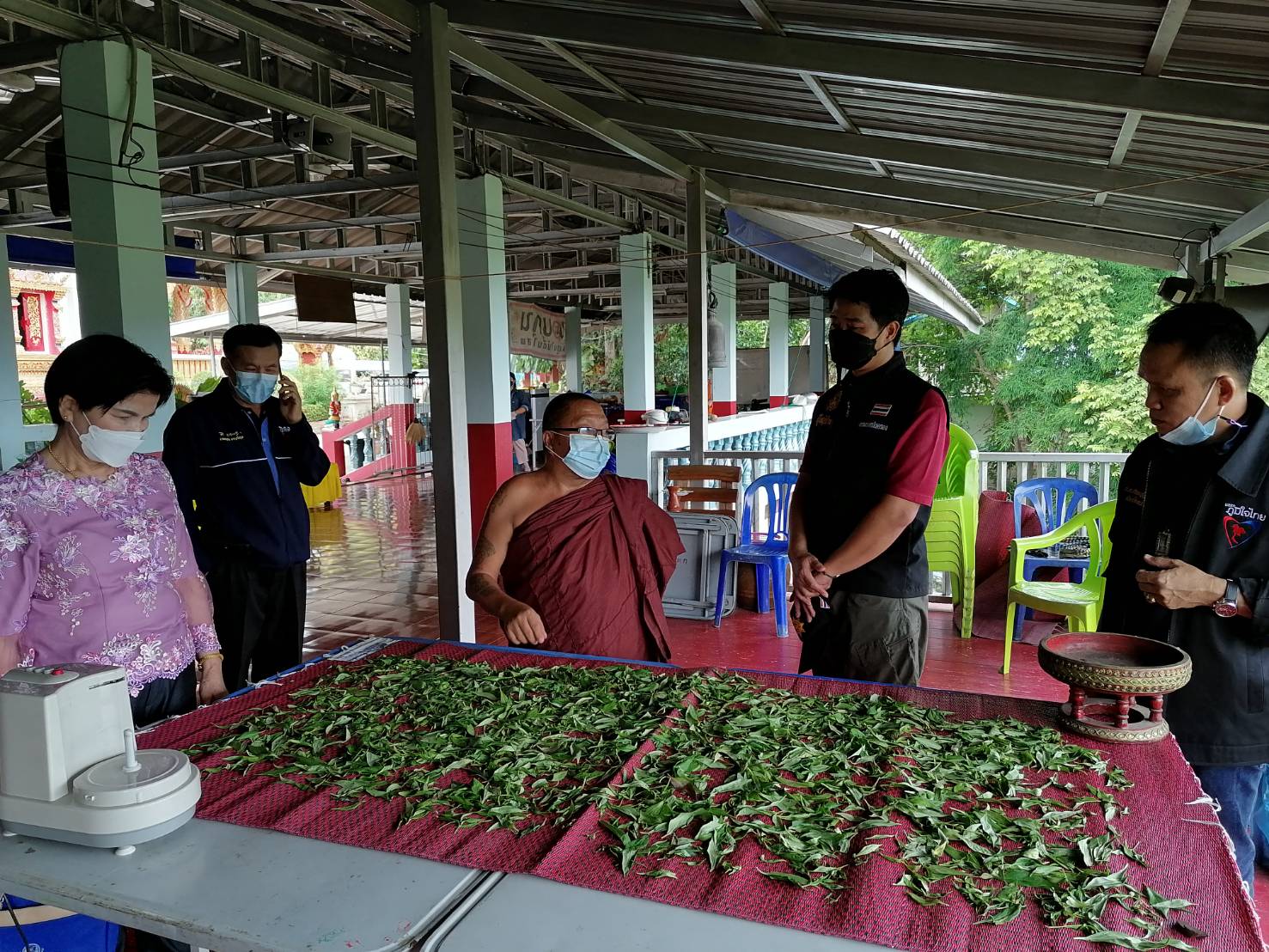 ส.ส.ศรีนวล บุญลือ ร่วมงานประชุมรับมอบต้นฟ้าทะลายโจรมามอบให้ประชาชน อ.แม่วาง-อ.สันป่าตอง-อ.ดอยหล่อ อ.จอมทอง จ.เชียงใหม่ เพื่อนำไปปลูกใช้ในครัวเรือนเพื่อแก้ไขปัญหาภัยโควิด-19 