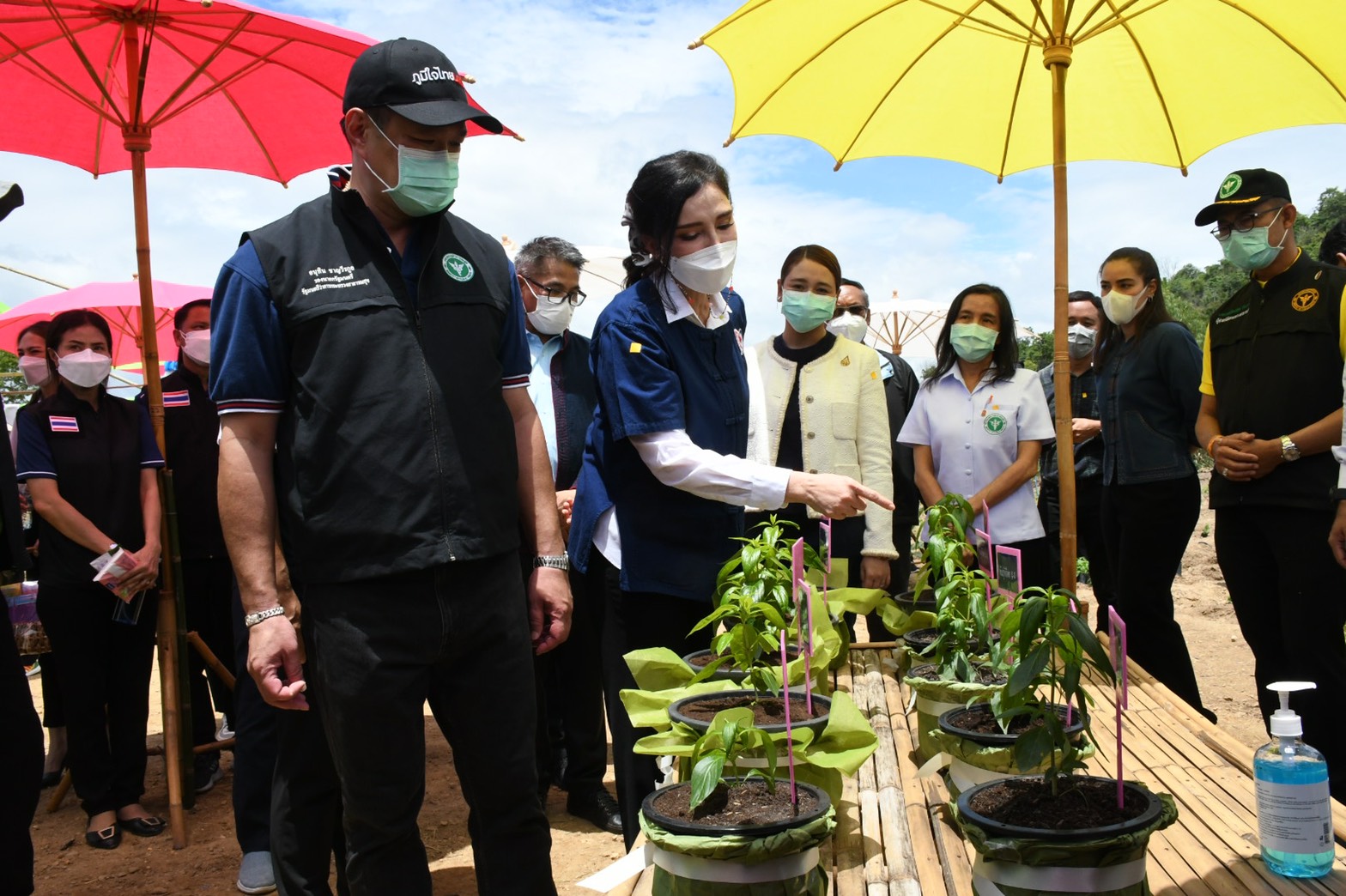 “อนุทิน” คิกออฟปลูกฟ้าทะลายโจร จ.อุทัยธานี เป็นยาทางเลือกรักษาโควิด