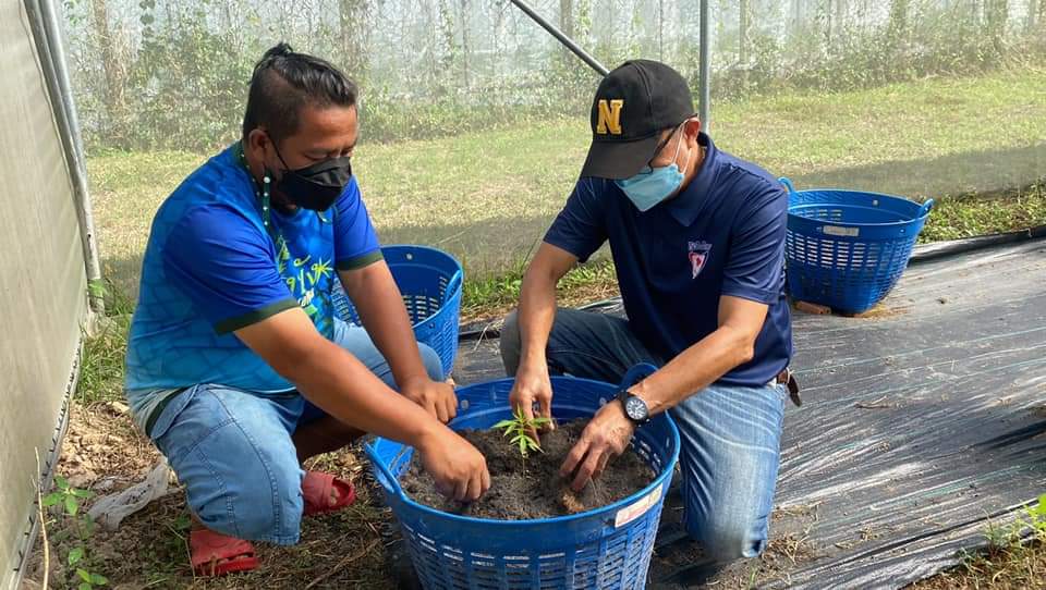 "ส.ส.สฤษดิ์ บุตรเนียร" ร่วมปลูกต้นกัญชาอย่างเป็นทางการ ณ ศูนย์วิสาหกิจชุมชนตำบลเขาไม้แก้ว  เพื่อสนับสนุนและส่งเสริมชุมชน ให้เป็นแหล่งเรียนรู้เชิงวิถีเกษตร สร้างอาชีพ สร้างรายได้ให้กับชุมชน