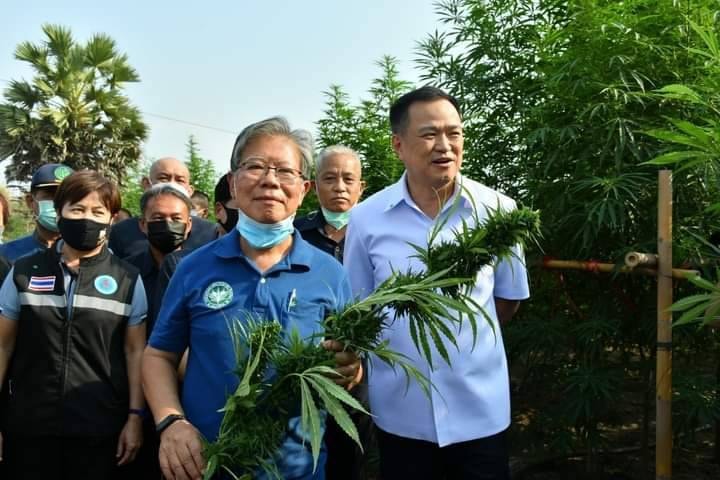 ประพัฒน์ ประธานสภาเกษตรฯ หนุน อนุทิน! ปลดล็อคกัญชา 100% เพื่อให้ประชาชนได้ปลูก จะสร้างเศรษฐกิจให้กับประเทศ