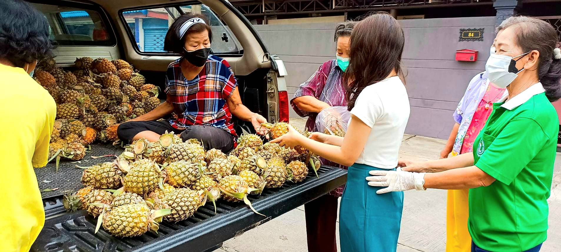 ส.ส.มณฑล โพธิ์คาย ช่วยเหลือเกษตรกรจากจังหวัดเชียงรายที่ได้รับผลกระทบจากราคาพืชผลทางการเกษตรตกต่ำ พร้อมอุดหนุนสับปะรดภูแลมาแบ่งปันความสุขให้กับชาวสวนหลวง และชาวประเวศ (แขวงหนองบอน และแขวงดอกไม้) กทม.