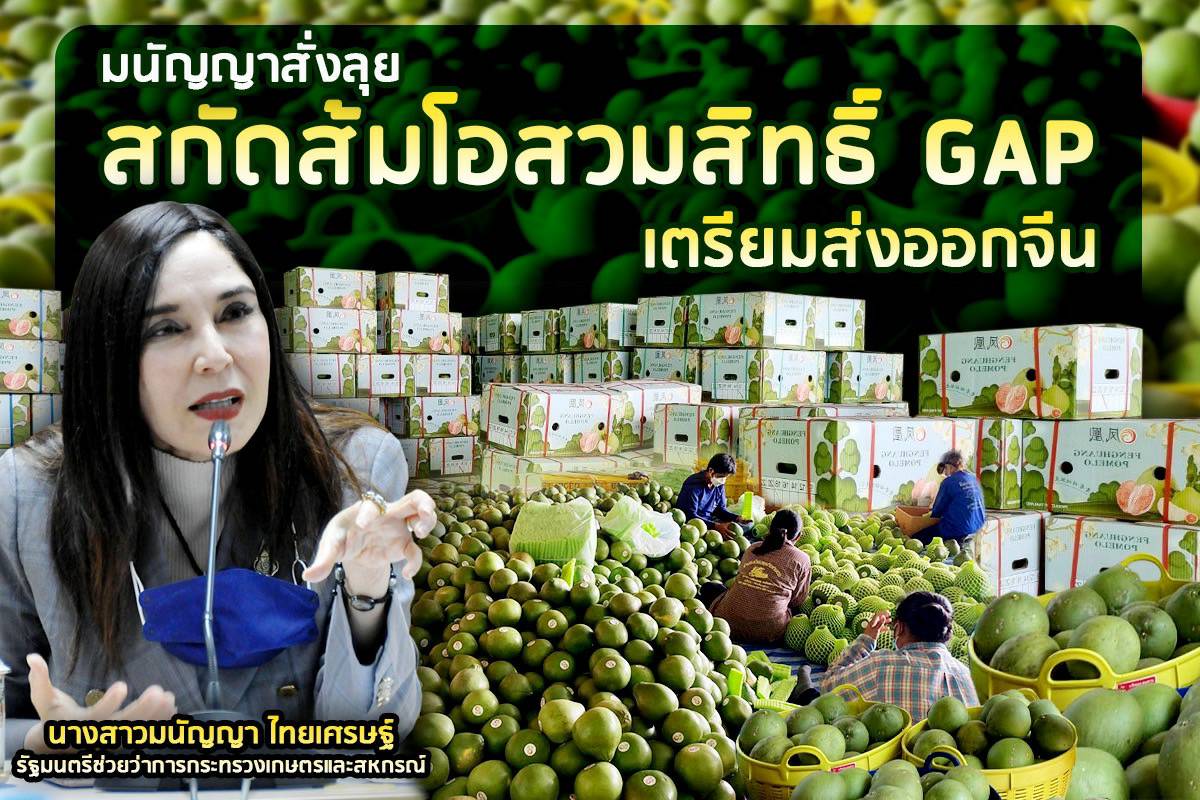 "มนัญญา" สั่งลุย! สกัดส้มโอสวมสิทธิ์ใบรับรอง GAP เตรียมส่งออกจีน