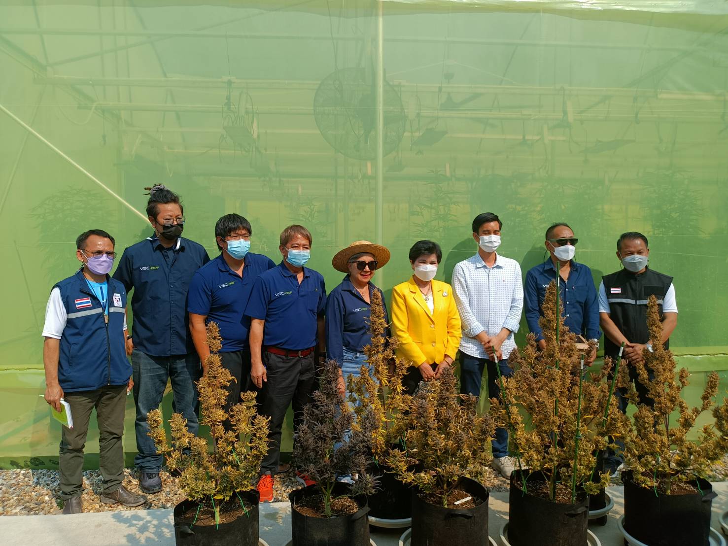 ส.ส.ศรีนวล บุญลือ ลงพื้นที่มอบน้ำดื่ม และชุดตรวจ ATK ให้กับพี่น้องประชาชนในพื้นที่ทุ่งสะโต๊ก อ.สันป่าตอง จ.เชียงใหม่ นอกจากนี้ได้เดินทางเยี่ยมโรงปลูกกัญชา อ.แม่ริม จ.เชียงใหม่