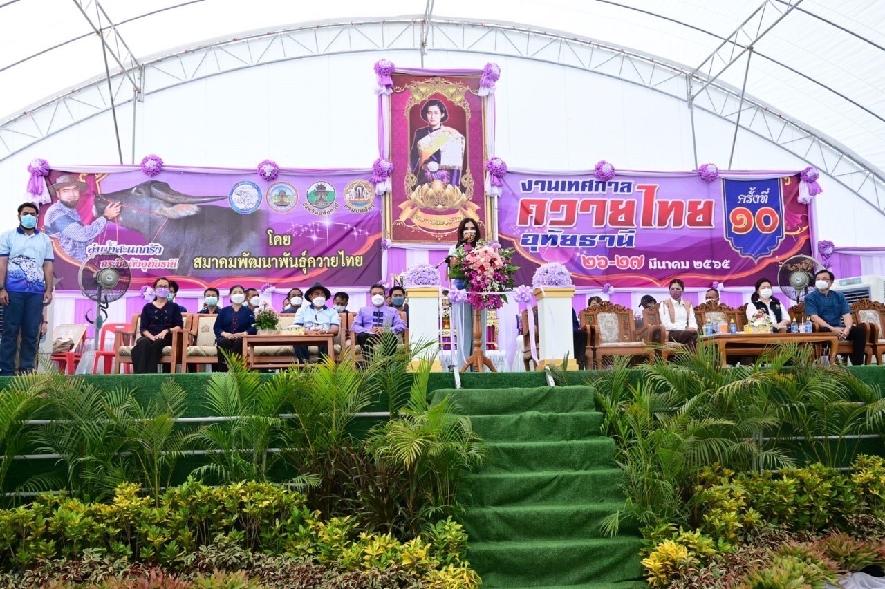 รมช.มนัญญา ไทยเศรษฐ์ เป็นประธานพิธีเปิดงาน “เทศกาลควายไทยอุทัยธานี” ครั้งที่ 10 ณ บริเวณกองบังคับการตำรวจภูธร จังหวัดอุทัยธานี ต.สะแกกรัง อ.เมือง จ.อุทัยธานี