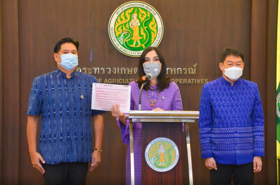 “รมช.กษ.มนัญญา” รับ ปลดล็อก 9 มิ.ย. เปิดเสรี “กัญชง กัญชา กระท่อม” กระทรวงเกษตรฯ เตรียมออกประกาศกระทรวงฯ กำหนดเงื่อนไขนำเข้าเมล็ดพันธุ์กัญชง กัญชา กระท่อม หนุนขับเคลื่อนเศรษฐกิจฐานราก ตั้งศูนย์ ONE Stop Service สายด่วน 1174