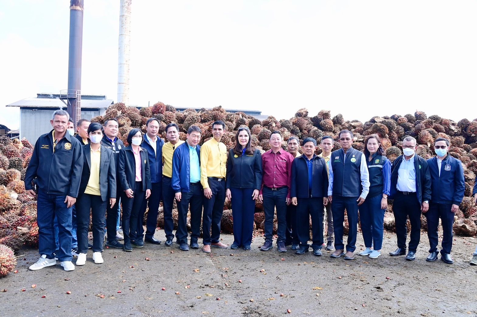 ‘รมช.มนัญญา’ รุดแก้ปัญหาผลผลิตปาล์มล้นตลาด จ.กระบี่ ดันสหกรณ์รับซื้อปาล์มน้ำมันช่วยเกษตรกร แก้ปัญหาความเดือดร้อน ราคาเป็นธรรม