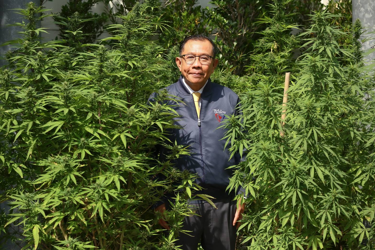 กัญชามา ยาบ้าลด ! “ศุภชัย” โพสต์ประสบการณ์สุดอึ้ง หลังลงพื้นที่กรุงเทพฯ