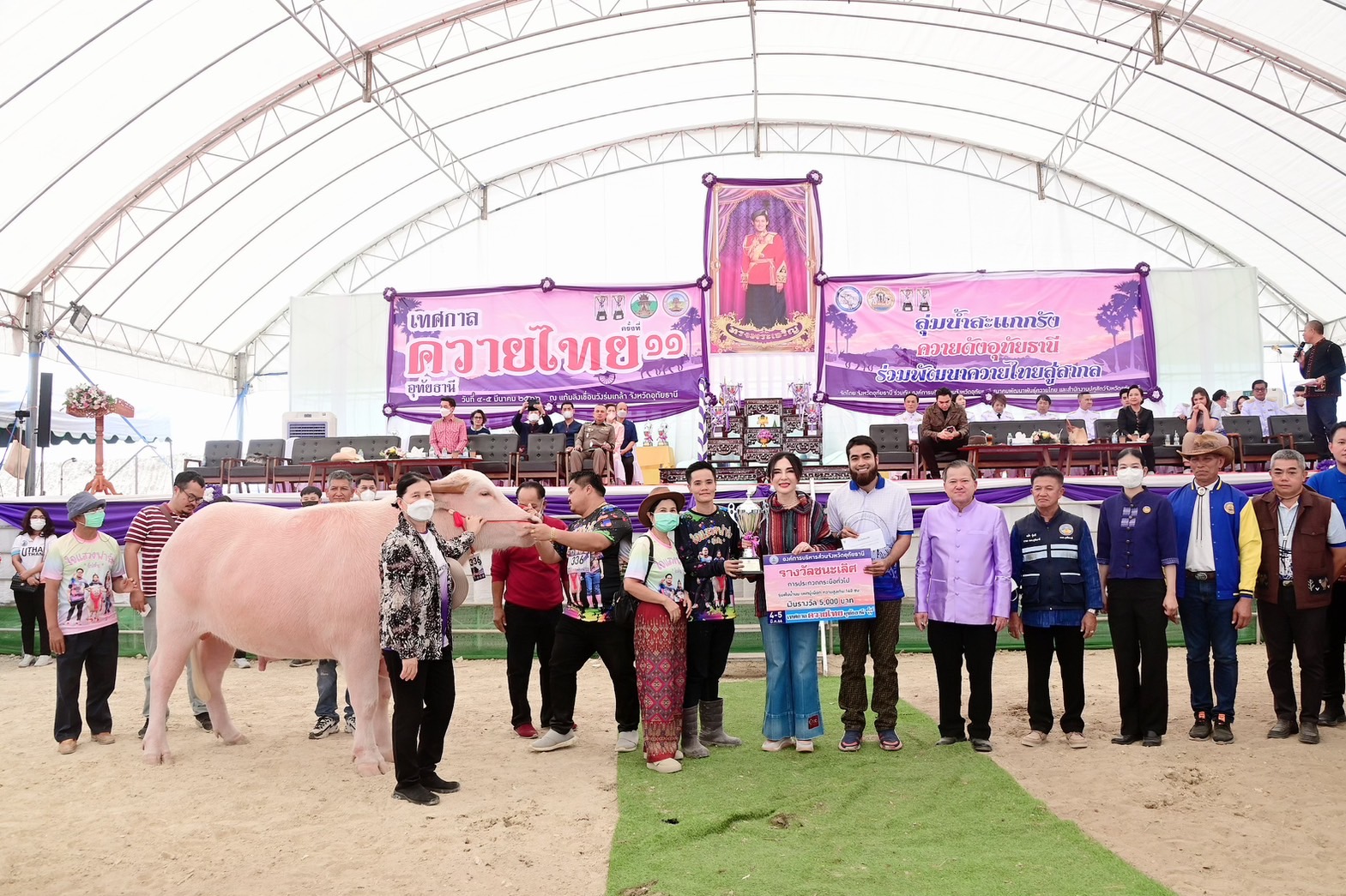 รมช.มนัญญา ไทยเศรษฐ์ เป็นประธานพิธีเปิดงาน “เทศกาลควายไทย อุทัยธานี” ครั้งที่ 11