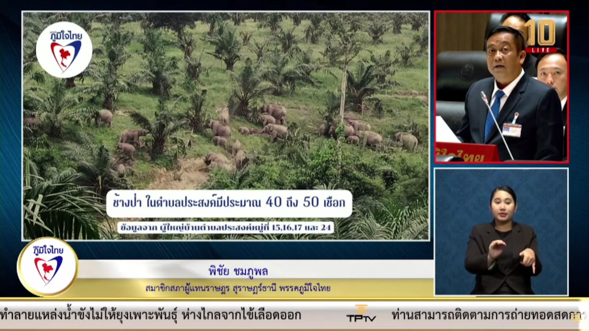 “สส.พิชัย” วอน หน่วยงานที่เกี่ยวข้องเร่งแก้ไขปัญหาช้างป่าบุกรุกทำลายพืชผลทางการเกษตรของชาวบ้าน ต.ประสงค์ อ.ท่าชนะ จ.สุราษฯ จนได้รับความเสียหายจำนวนมาก บางครั้งบุกทำร้ายปชช. จนเสียชีวิต