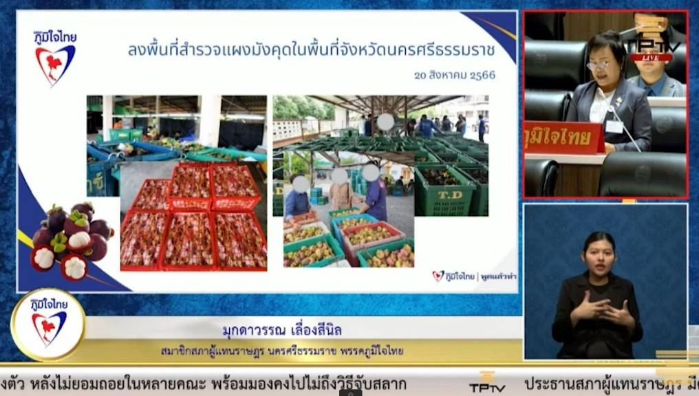 "สส.มุกดาวรรณ" วอน สภาฯ พิจารณาแก้ไขปัญหาราคาผลผลิตมังคุดตกต่ำ