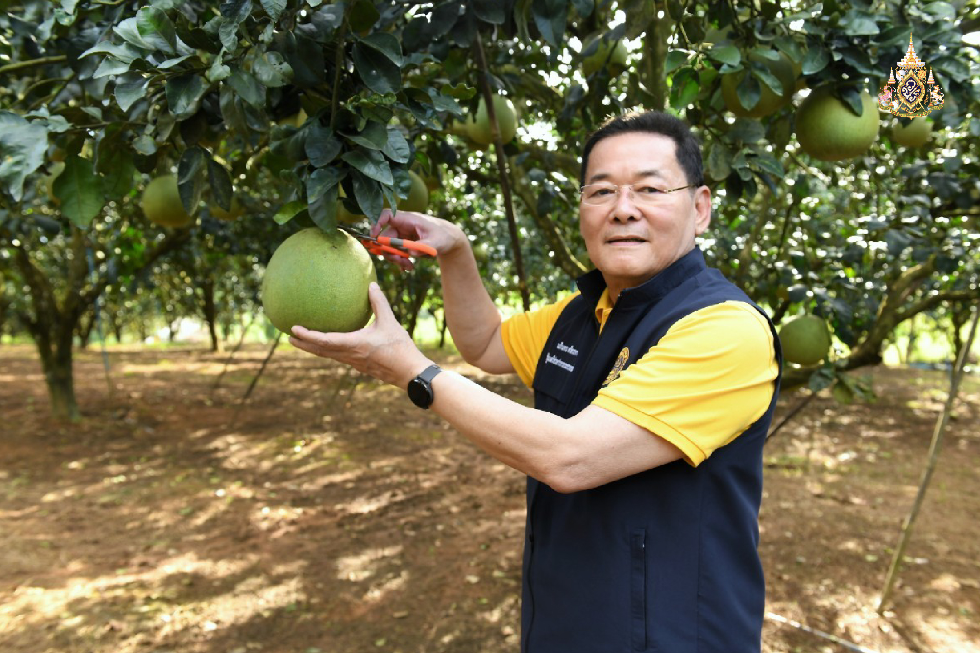 “นภินทร รมช. พาณิชย์ นำทีมขึ้นดอย ดันส้มโอเวียงแก่น ขึ้นทะเบียน GI ยกระดับคุณภาพของดีเมืองเวียงแก่น จังหวัดเชียงราย